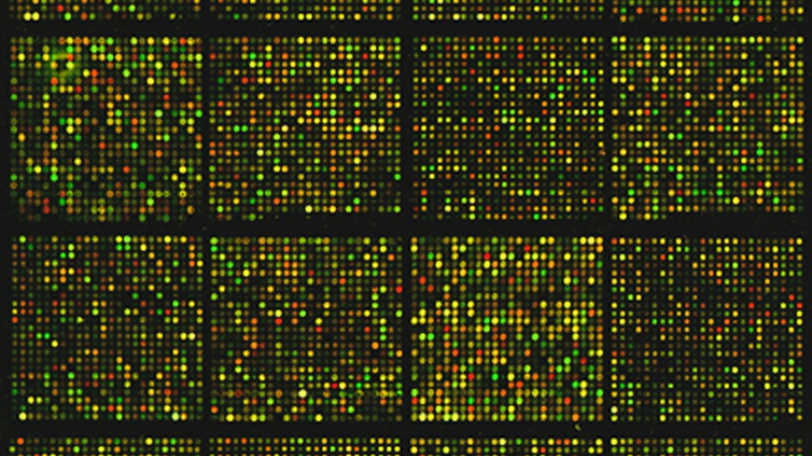 A grid of green, yellow, and red dots forming a microarray pattern
