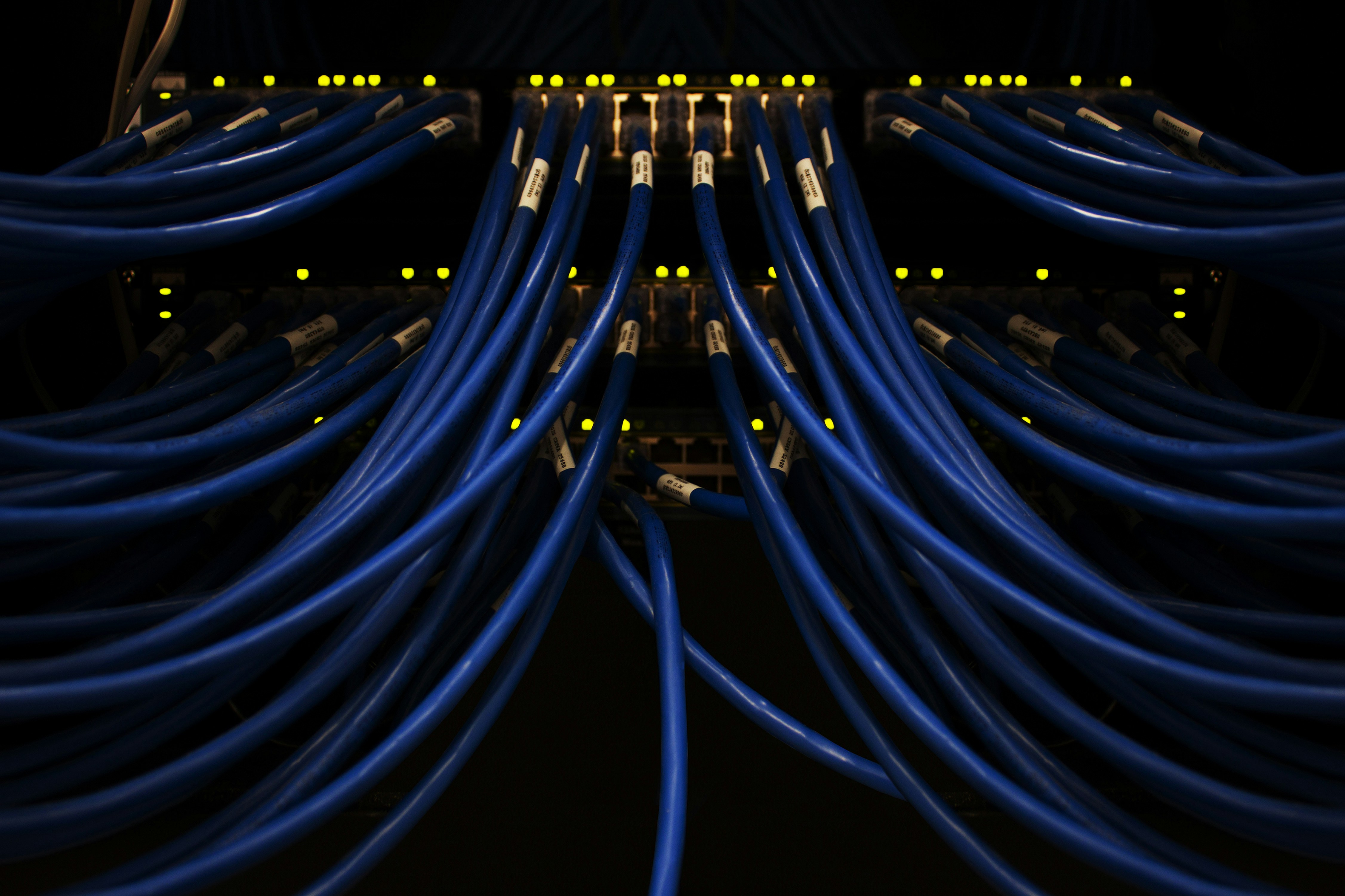 Blue network cables connected to server infrastructure