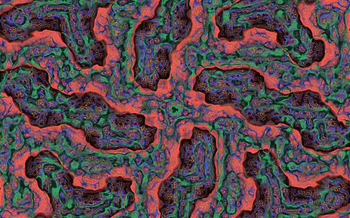 Layered red, green and blue Turing-pattern texture with dark pockets, arranged with fourfold symmetry